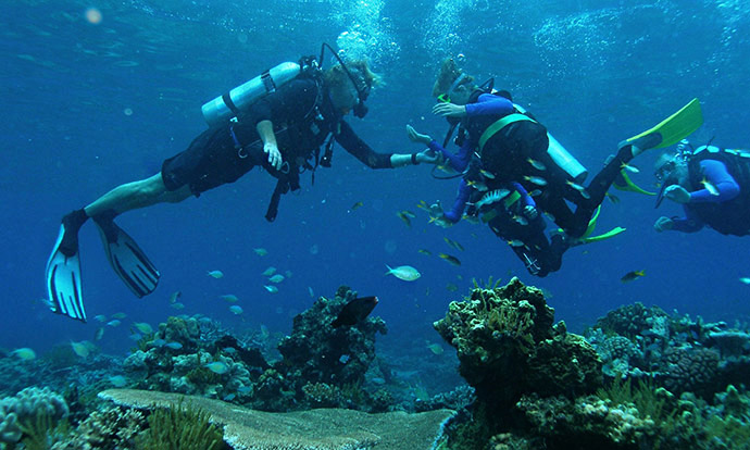 Τολό Κατάδυση Αργολίδα